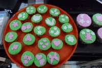 /album/galeria-de-fotos-sobre-nos/mini-de-nozes-jpg/